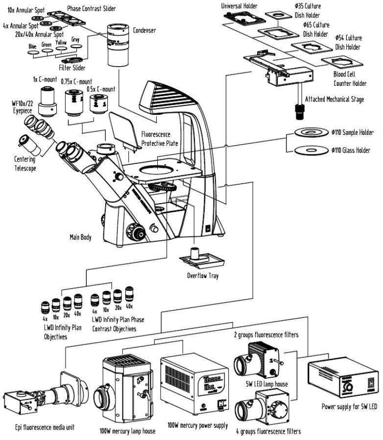 Product View